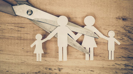 Searle law about family articles
