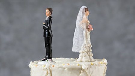 Searle law about family articles