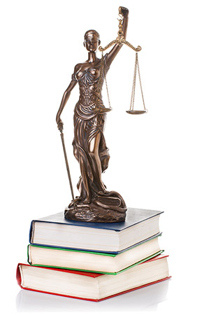 Searle law practice areas